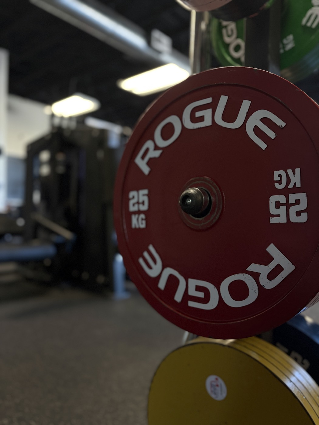 Rogue bumper plate loaded on a machine